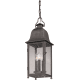 A thumbnail of the Troy Lighting F3217 Aged Pewter