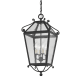 A thumbnail of the Troy Lighting F4128 French Iron