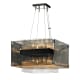 A thumbnail of the Troy Lighting F5905 Dark Bronze / Polished Chrome
