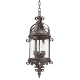 A thumbnail of the Troy Lighting FCD9124 Old Bronze