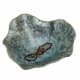 A thumbnail of the Uttermost 04178 Soft Caribbean Blue