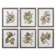 A thumbnail of the Uttermost 33643 Soft Greens / Gray Frame