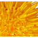 A thumbnail of the Varaluz 169M01 Varaluz-169M01-Detailed(Un-Mellow Yellow)