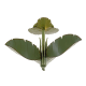 A thumbnail of the Varaluz 901S03 Banana Leaf