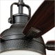 Vaxcel Lighting F0033 Gold Stone Walton 52" 5 Blade Indoor ...