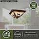 A thumbnail of the Vaxcel Lighting CC55414 Alternate Image