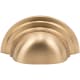 A thumbnail of the Vesta Fine Hardware V7007 Satin Brass