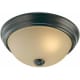 A thumbnail of the Volume Lighting V7581 Antique Bronze