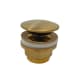 A thumbnail of the WS Bath Collections Light Exclusive ZSCA 050 Brushed Honey Gold