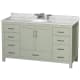 A thumbnail of the Wyndham Collection WCS141460SUNOMXX Light Green / Brushed Nickel Hardware