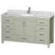 A thumbnail of the Wyndham Collection WCS141460SUNSMXX Light Green / Brushed Nickel Hardware