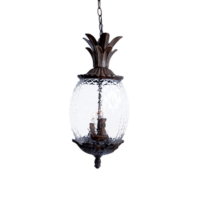 Pineapple deals sconces outdoor