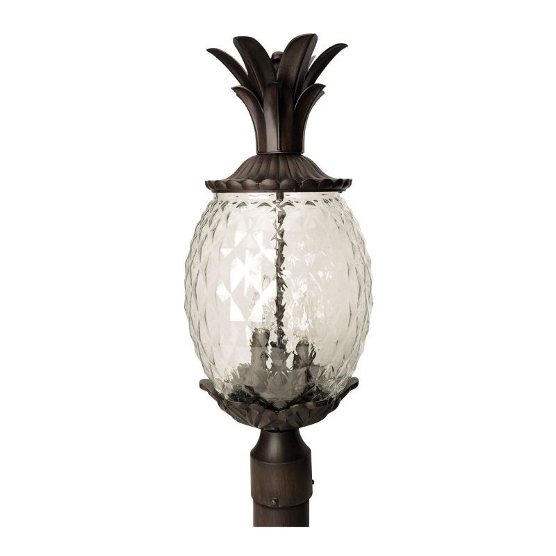 Pineapple lights outdoor on sale meaning