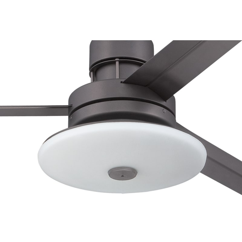 Indoor / Outdoor Ceiling Fan - Blades 