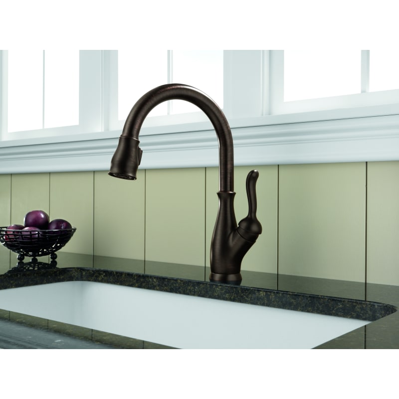 Delta 9178-DST-SD Chrome Leland Pull-Down Kitchen Faucet with ...