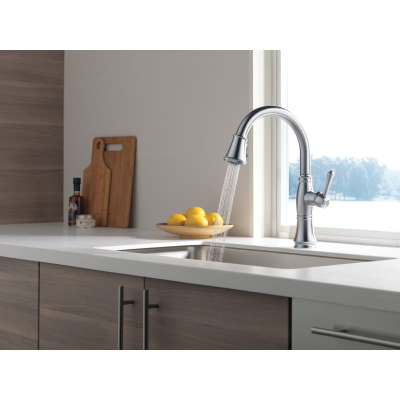 Cassidy delta kitchen faucet