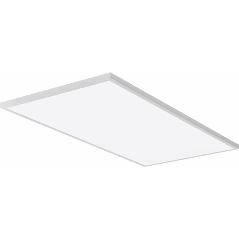 Lithonia shop cpanl 2x4
