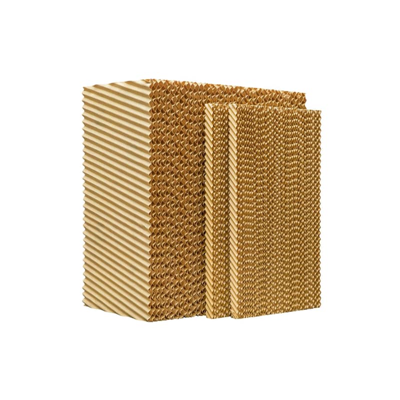 igloo lunch box kroger