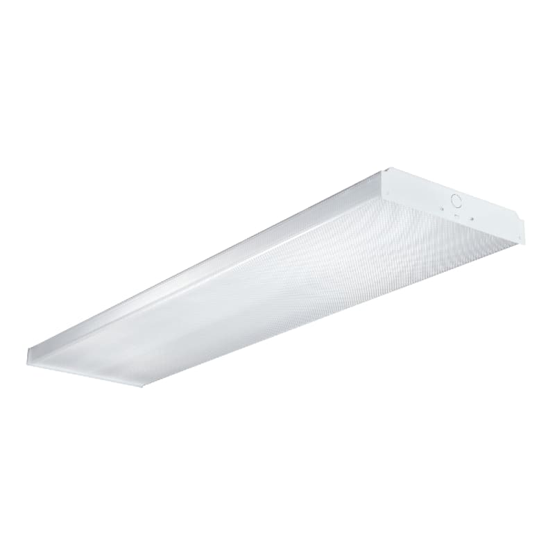 ホワイトフレア　4BOX分　White Flare White Flare – NorthernPoke