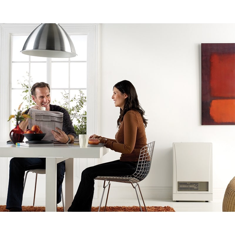 Rinnai EX22DTWN White 21,500 BTU Energy Star Certified Natural Gas Heater -  VentingPipe.com