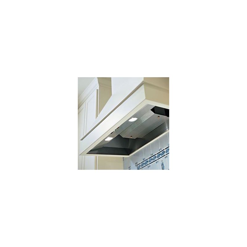 Vent-A-Hood BH240SLD SS Stainless Steel 42 Inch BHSLD 600 CFM Wall Mounted  Liner Insert with Dual Blowers and LED Lights - VentingDirect.com