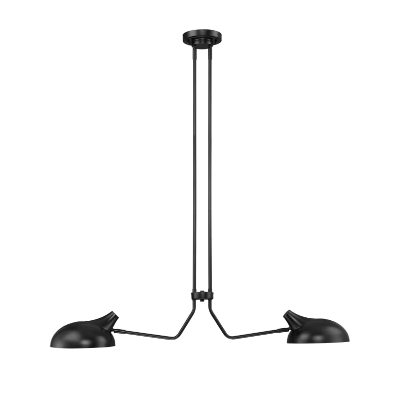 Z-Lite 1942-2L-MB Matte Black Bellamy 2 Light 10