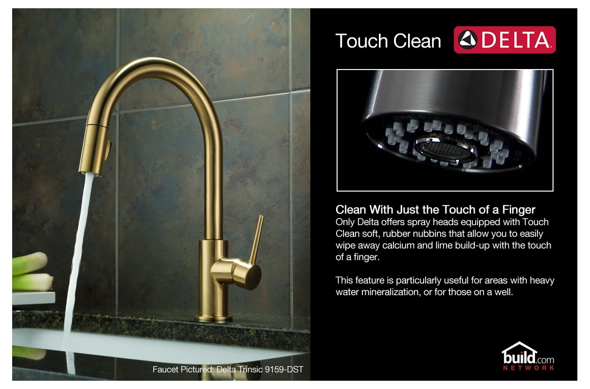Delta 19950 Ss Sd Dst Brilliance Stainless Arabella Pull Out Spray