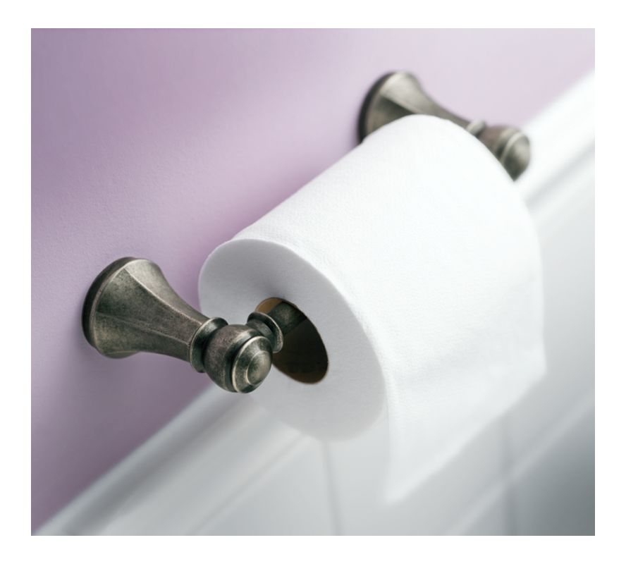 moen toilet paper holder – massagroup.co moen toilet paper holder – massagroup.co
