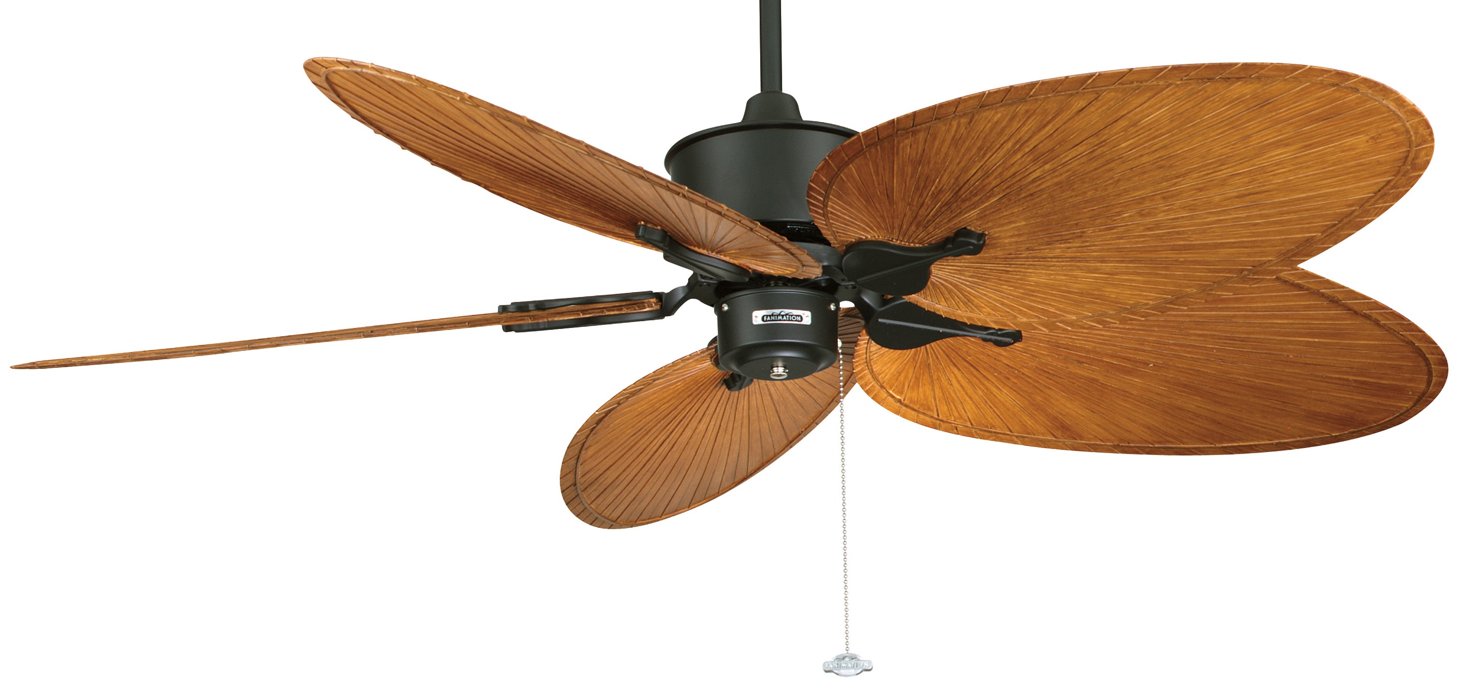 Fanimation Undefined Black With Palm Leaf Blades Islander 5 Blade