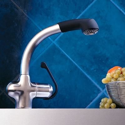 Grohe 33759SD0 Stainless Steel Ladylux Plus Pull-Out Kitchen