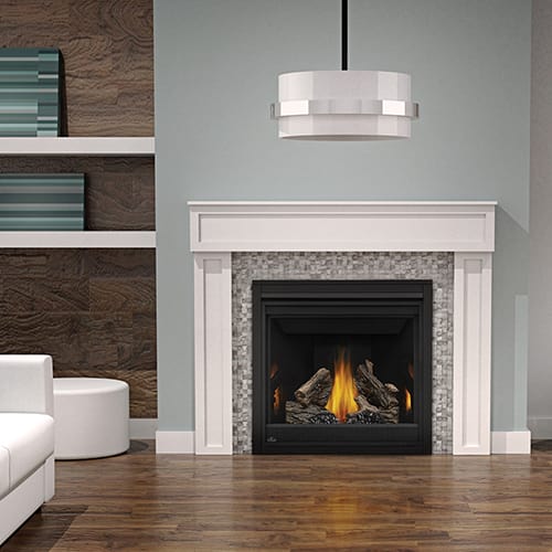 Napoleon B36ntre N A 18000 Btu Built In Direct Vent Natural Gas