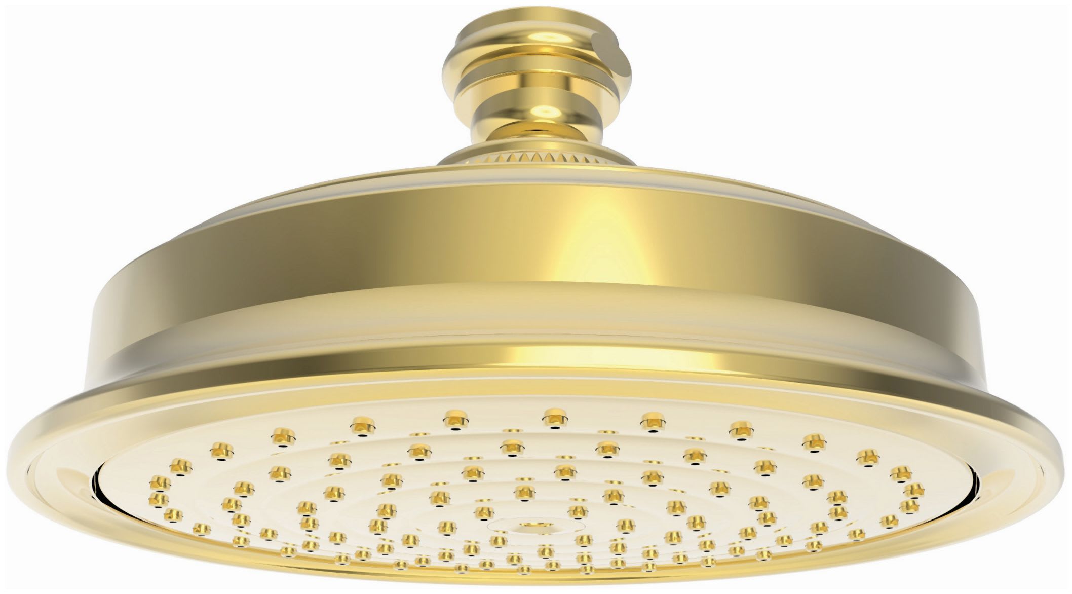 Newport Brass 2142/01 Forever Brass (PVD) 6 1.8 GPM Single Function Solid Brass  Shower Head 