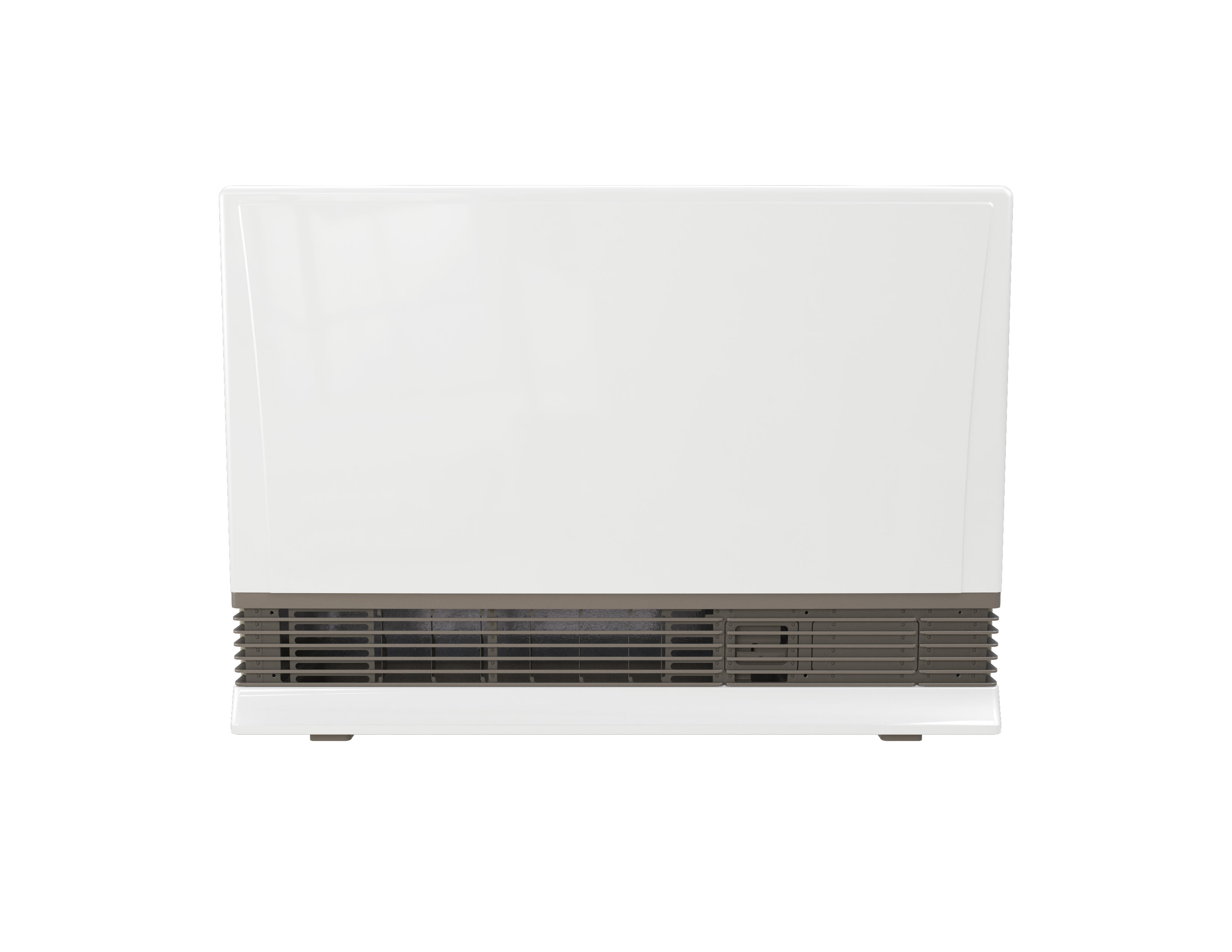 Rinnai EX38DTP Beige 36,500 BTU Energy Star Certified Liquid Propane Heater  - VentingPipe.com