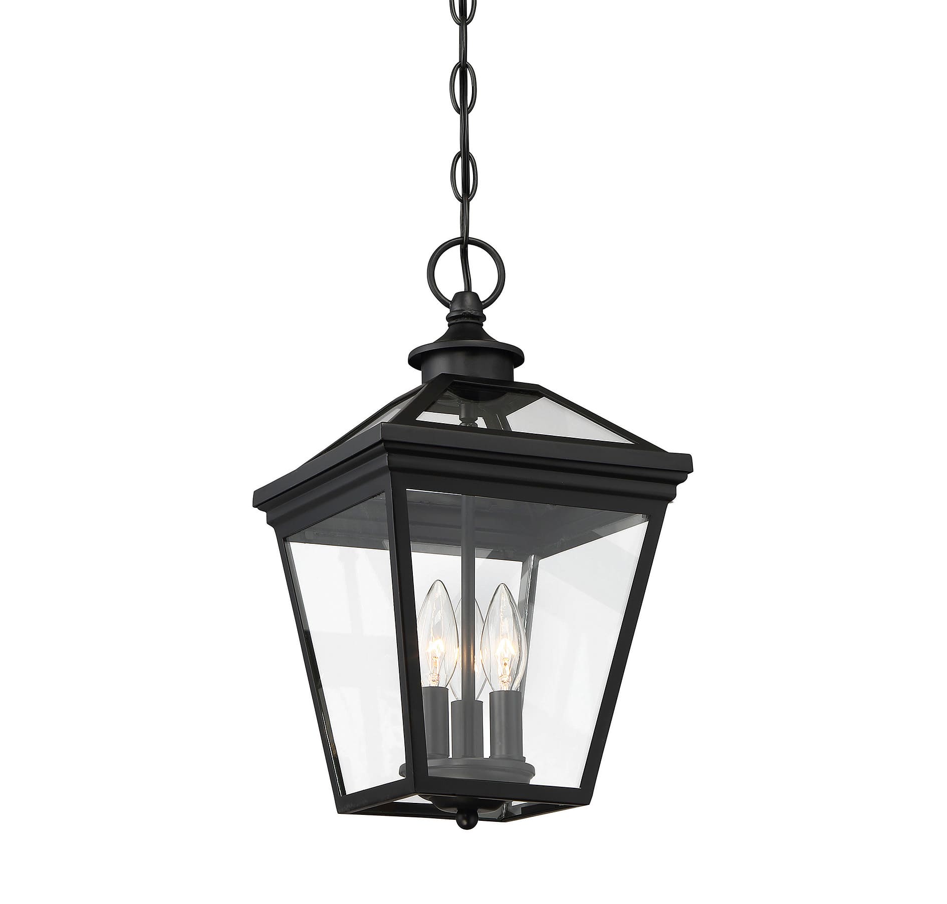 Savoy House Ellijay 9/" Steel Wall Lantern Black 5-141-BK Clear