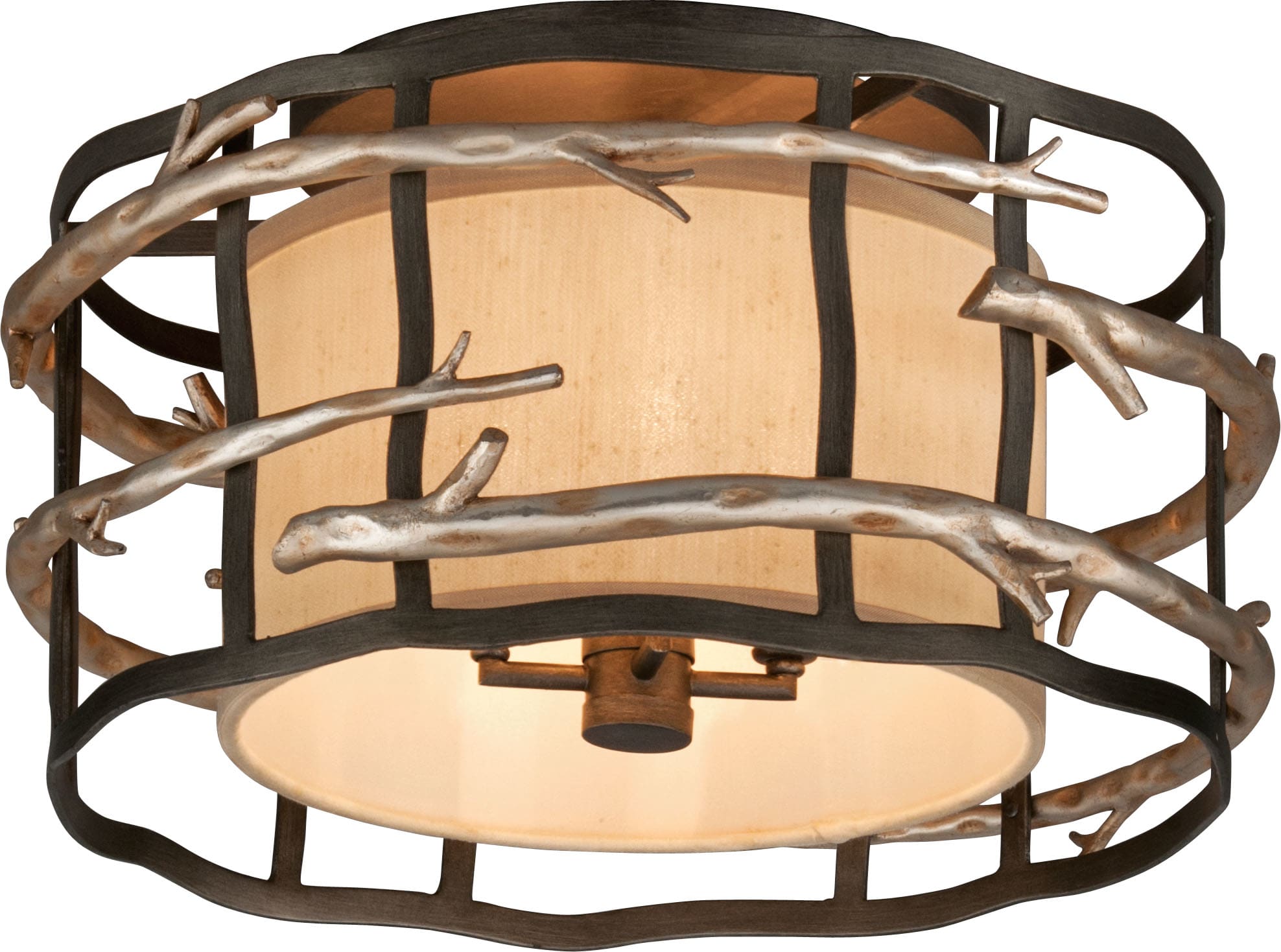 Troy Lighting C2881