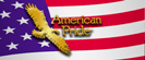 American Pride logo