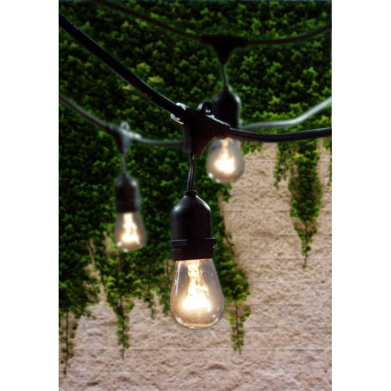 https://s3.img-b.com/image/private/t_base%2Cf_auto%2Cc_lpad%2Cw_800%2Ch_800/product/Bulbrite/810002clear.jpg