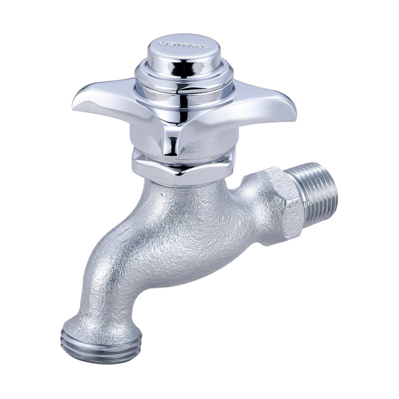 UPC 763439000170 product image for Central Brass 0031-H1/2P Single Handle Self-Close Wall Mounted Bathroom Faucet w | upcitemdb.com