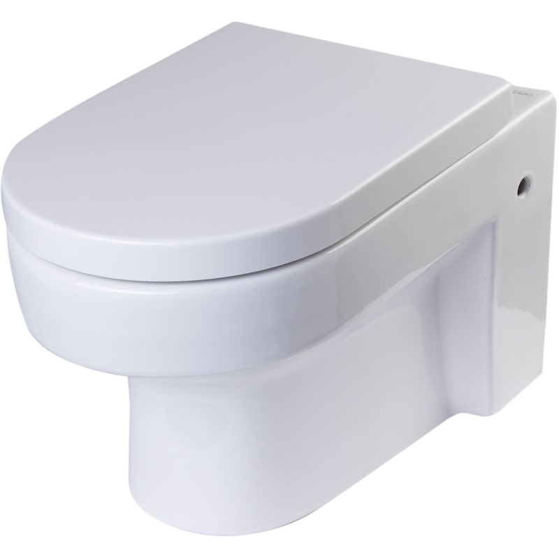 Eago WD101 Wall Mount One Piece Dual Flush Elongated Toilet White Fixture Toilet One-Piece Elongated