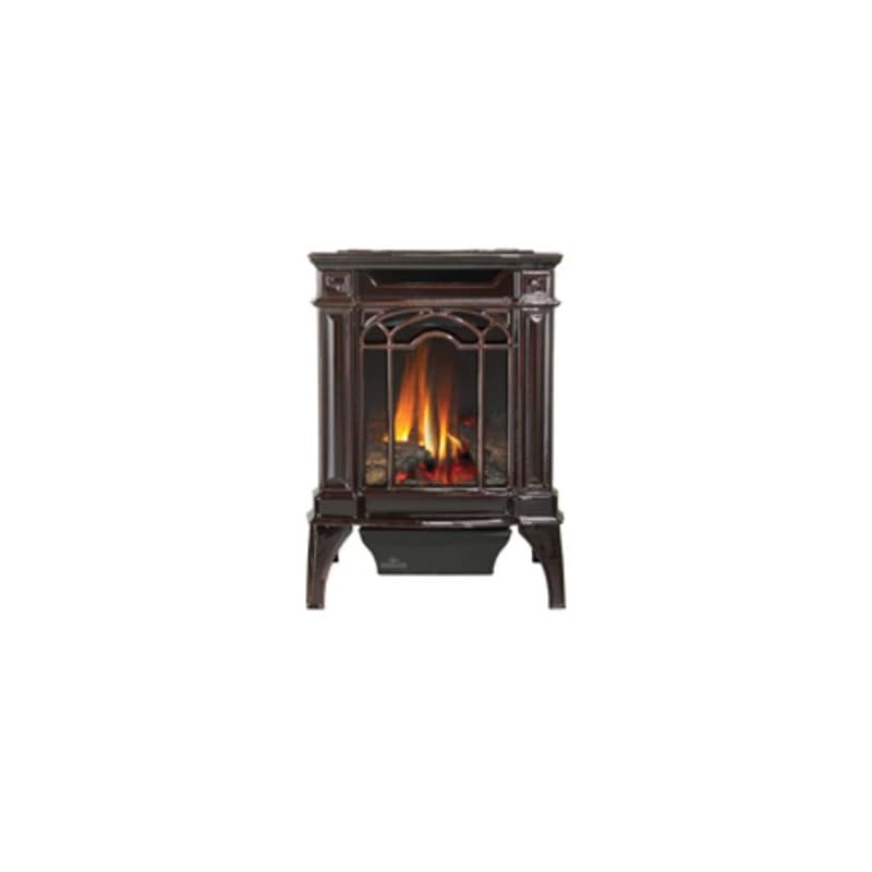 UPC 629169045242 product image for Napoleon GDS20SB 20000 BTU Free Standing Direct Vent Natural Gas Stove with Safe | upcitemdb.com