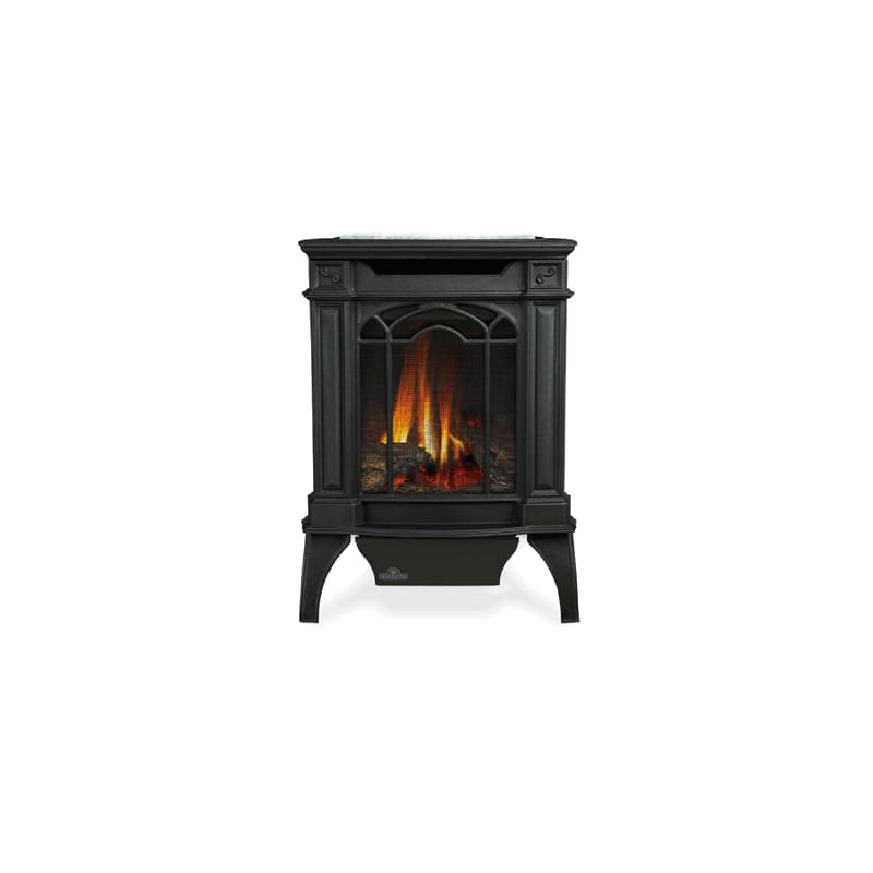 UPC 629169045235 product image for Napoleon GDS20SB 20000 BTU Free Standing Direct Vent Natural Gas Stove with Safe | upcitemdb.com