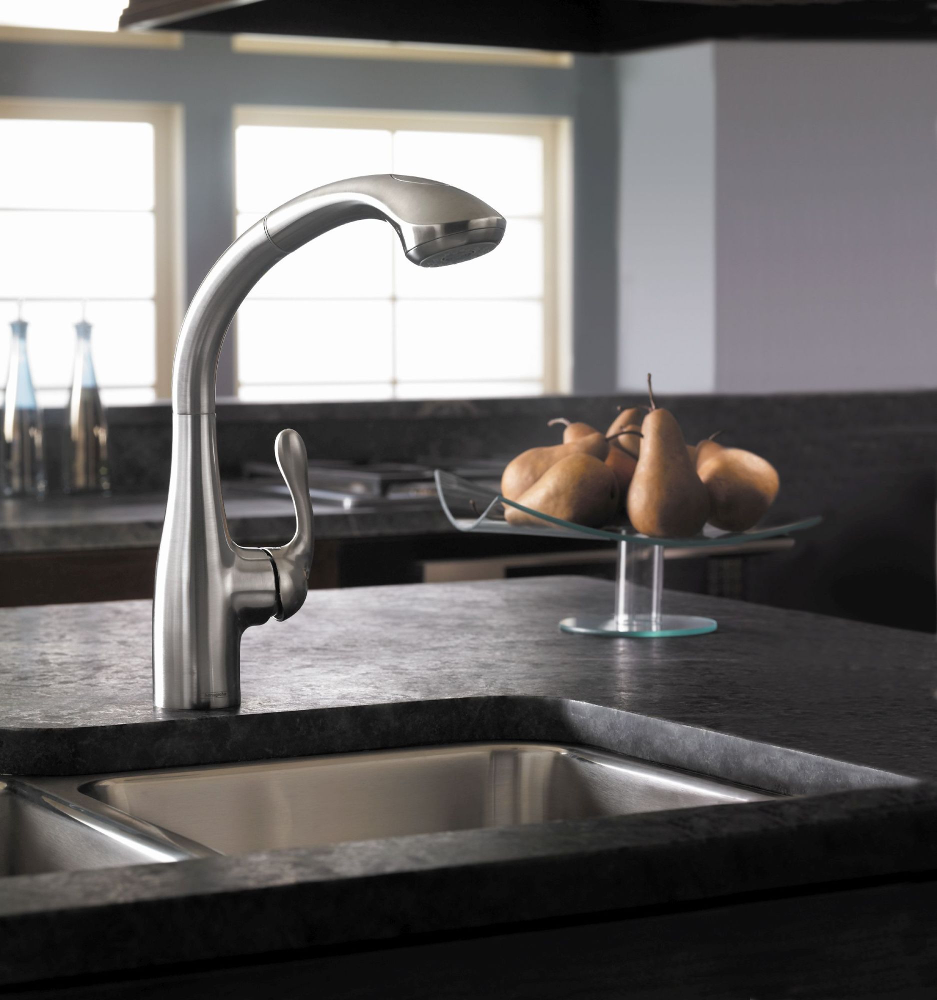 Hansgrohe 06461 Allegro E Pull Out Kitchen Faucet Silver Ebay