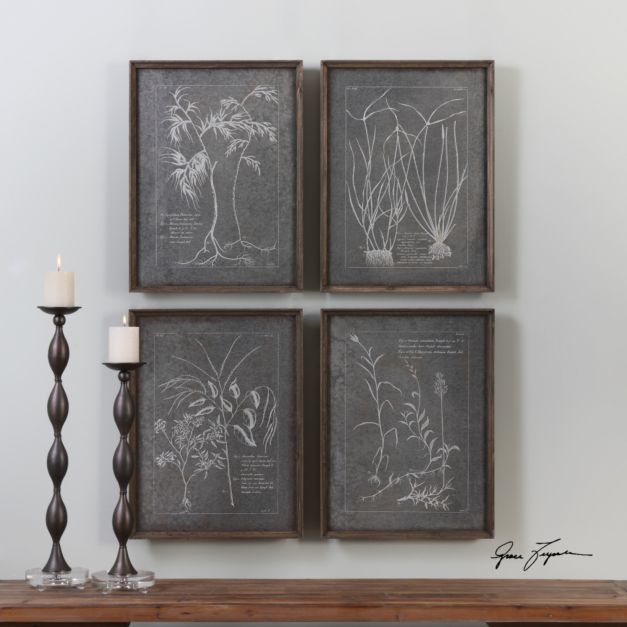 Uttermost 32537 Root Study Four Piece Framed Botanical Print Set