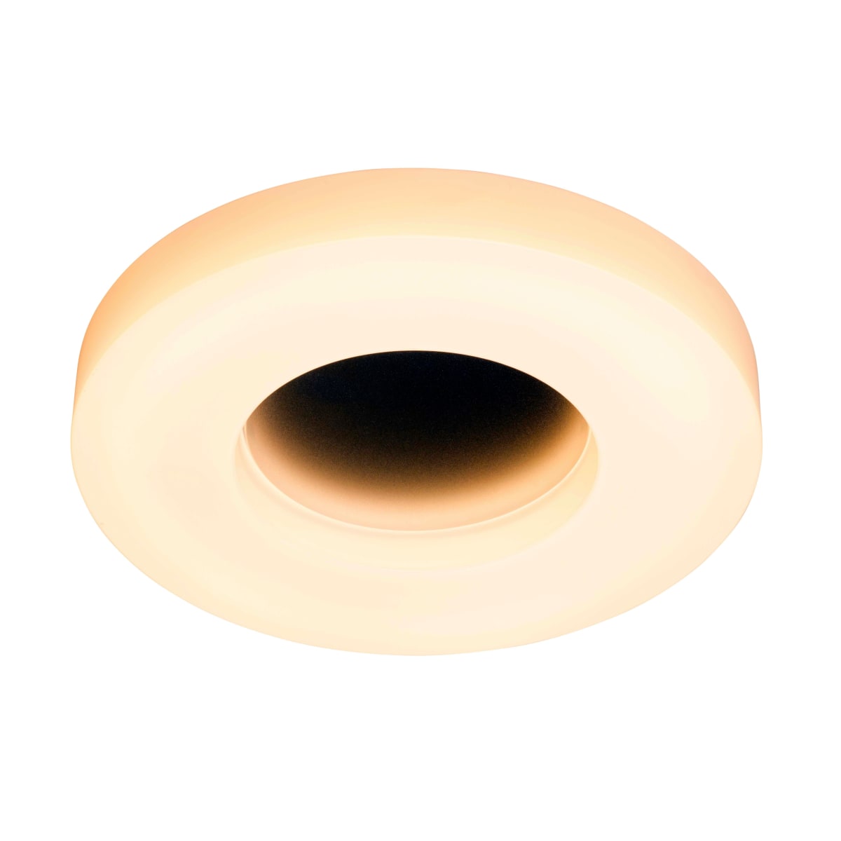 Bromi Design B808F Jewel Single Light 19" Wide | Build.com