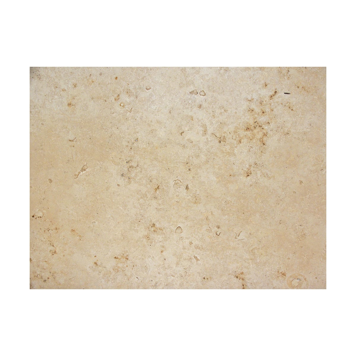 Daltile L71112241U Limestone 12" x 24"