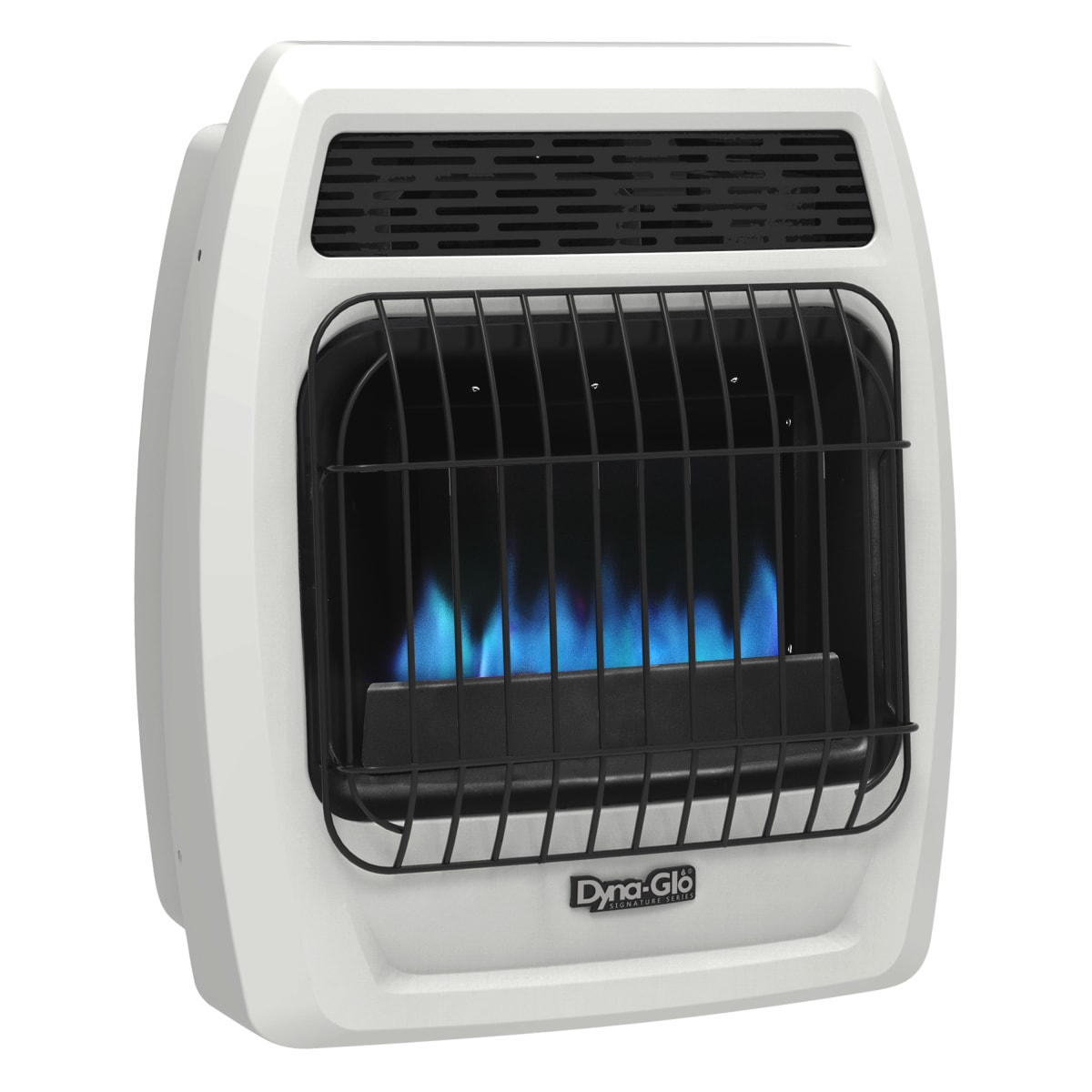 Dyna-Glo BFSS10LPT-4P 10,000 BTU Liquid Propane Wall | Build.com