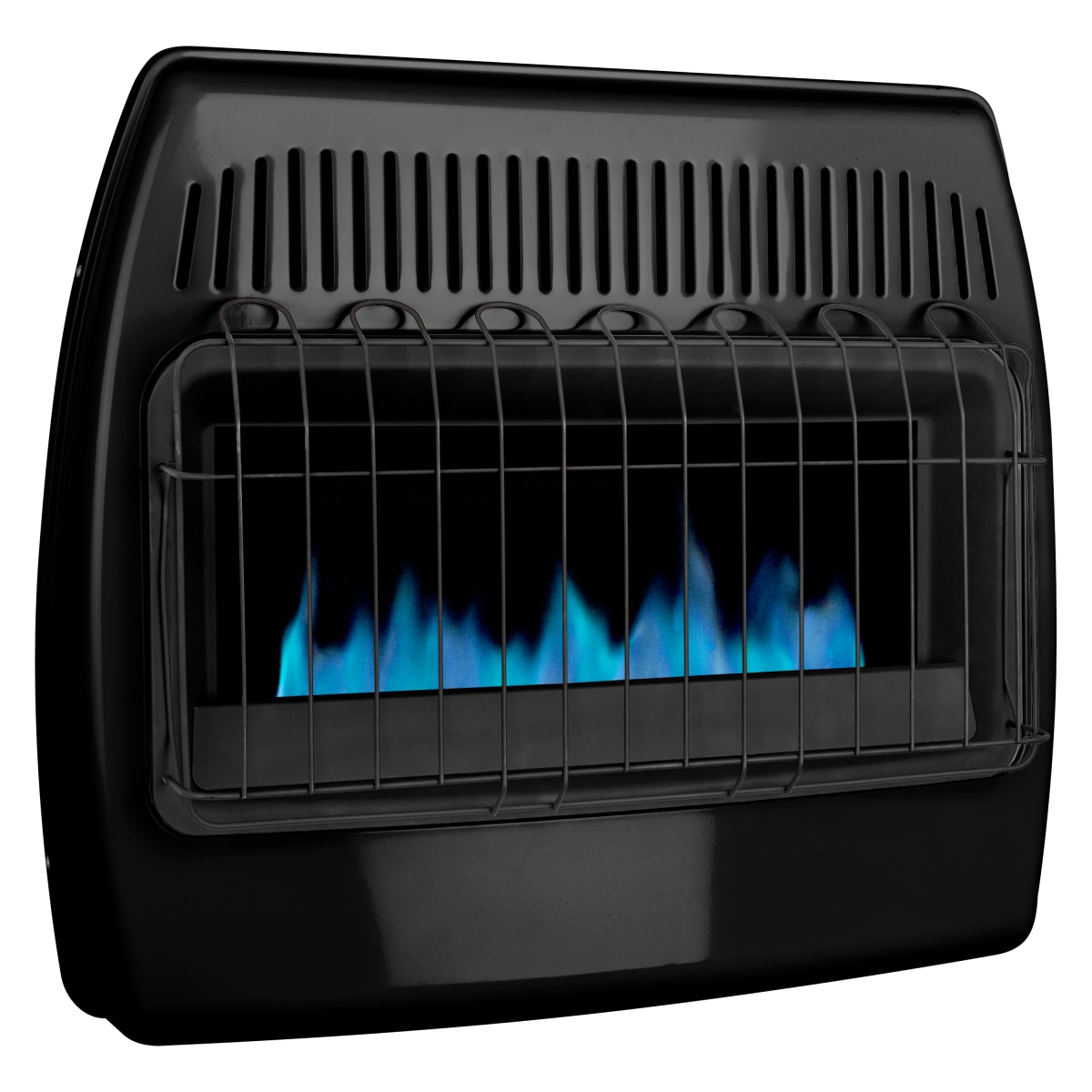 Dyna-Glo GBF30DTDG-4 30,000 BTU Liquid Propane, Natural | Build.com