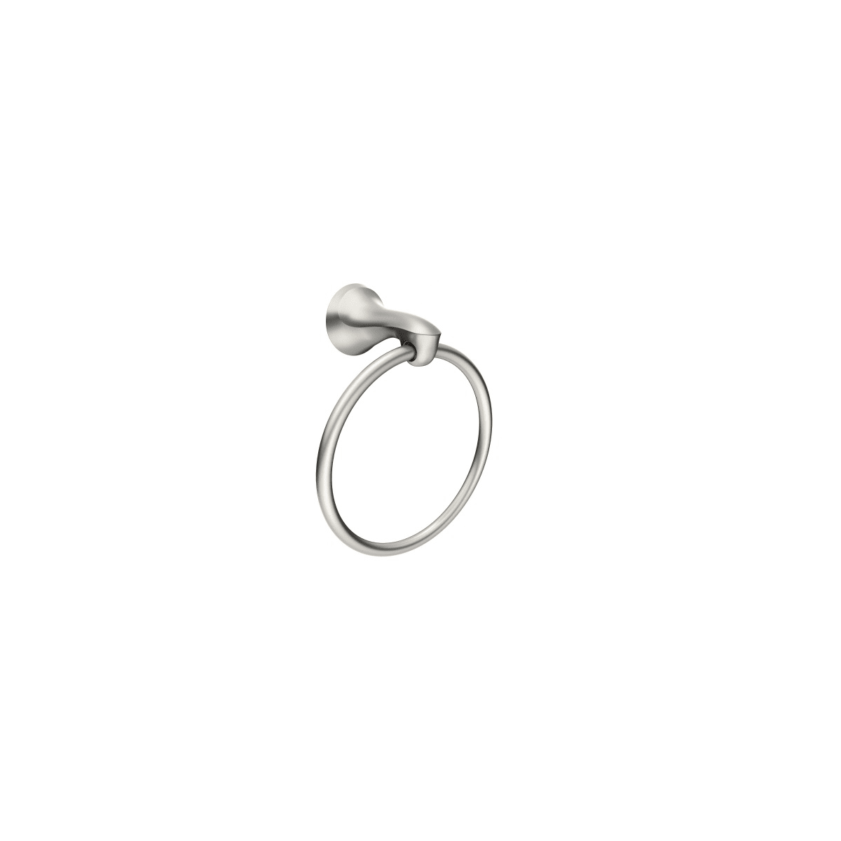 Moen darcy 2024 towel ring