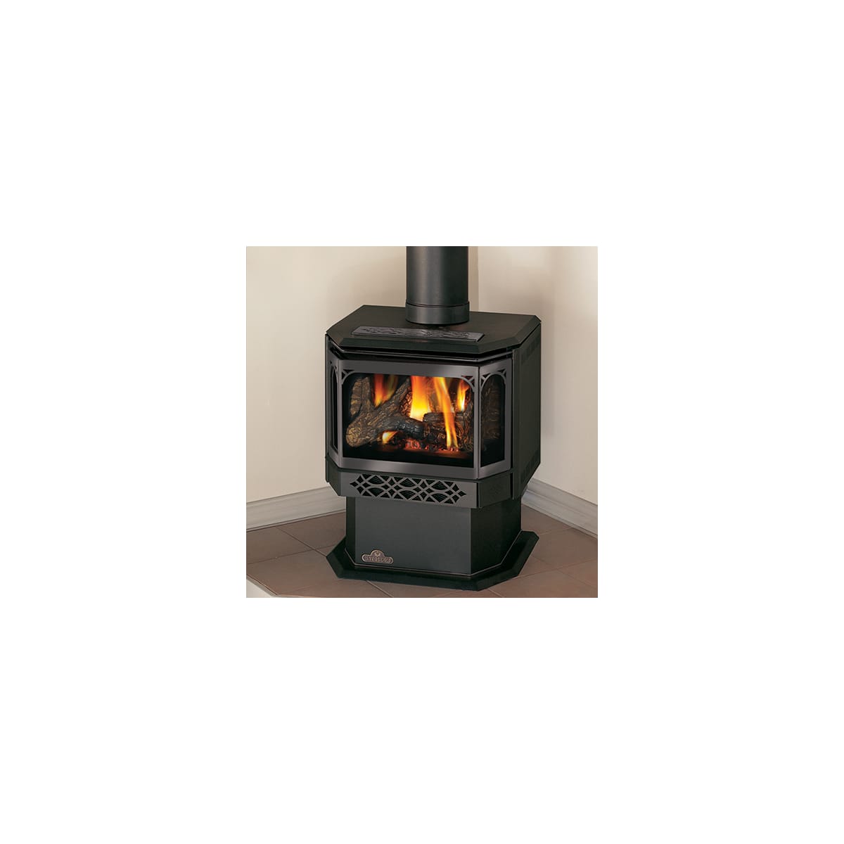 Napoleon GDS28-1NSB 30000 BTU Free Standing Direct Vent | Build.com