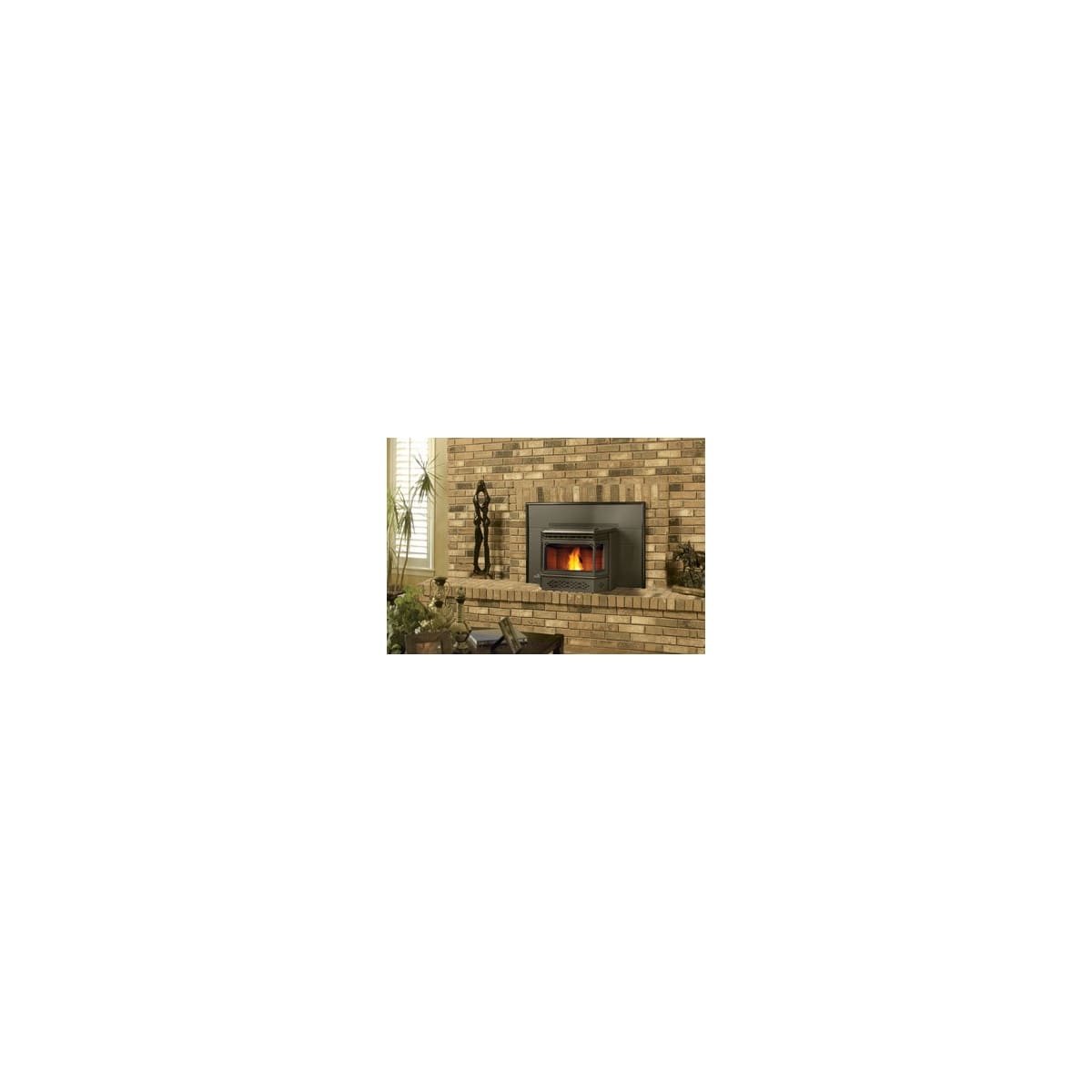 Napoleon NPI45 8,000 - 40,000 BTU Pellet Insert with 45 | Build.com